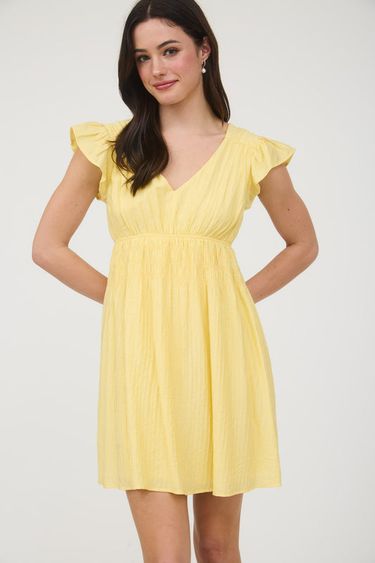 V Neck Shirred Waist Ruffle Sleeve Mini Dress