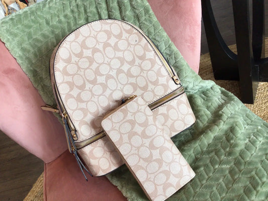 Structured Backpack